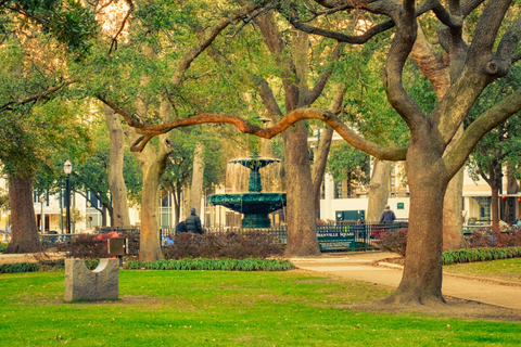 Fountain in Alabama park surrounded by Spanish Moss trees