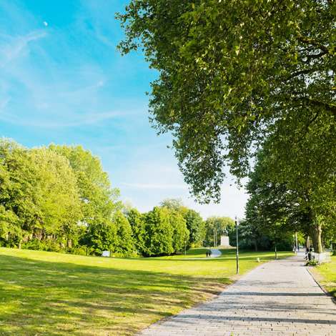 image of a park