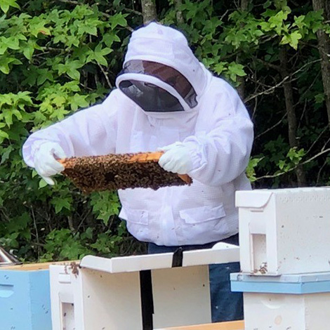 Kurt tending to his bees