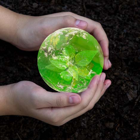 Hand girl holding and protecting, sapling plant tree for save earth globe on soil.   World Environment and Save Environment. Earth image provided by Nasa.
