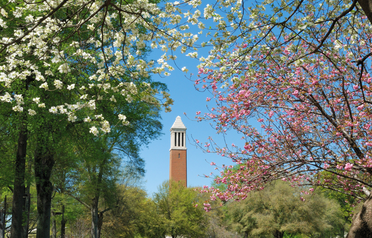 Campus in the Spring Flowers on campus