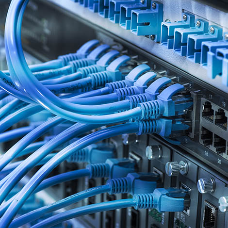 network cables connected to switch patch network cables connected to switch