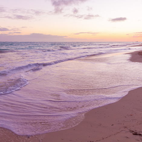 a beach at sunset