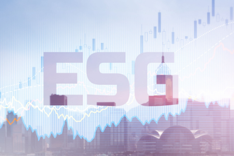 ESG Digital Stock information