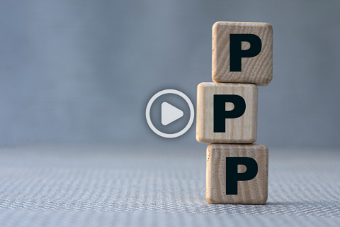 PPP wooden cubes