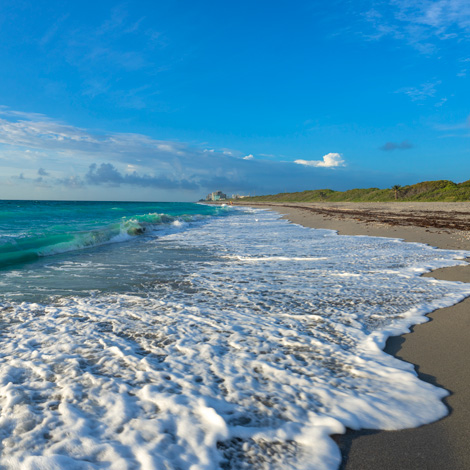 beach shoreline