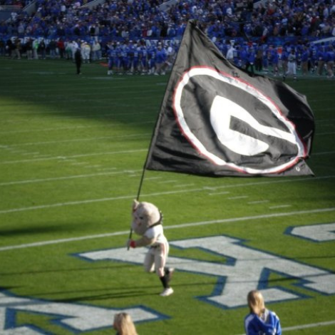 UGA bulldog and flag running across the football field