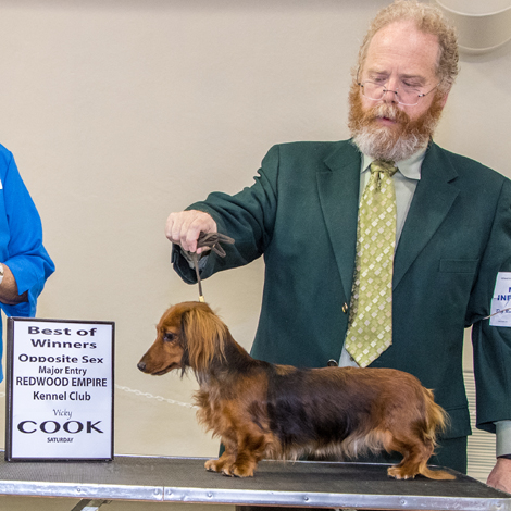 Geoffrey Kulik with Dachshund at a competition