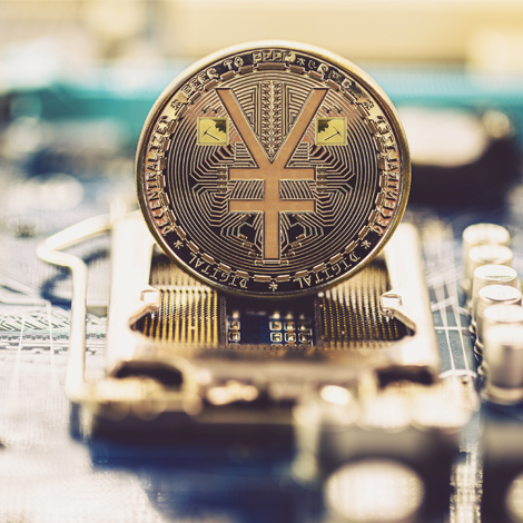 AnishAmin-Unique Chinese decentralized currency, on board and circuits