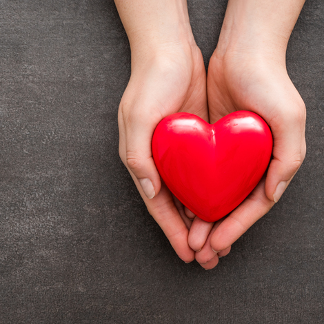 picture of a hand holding a plastic heart