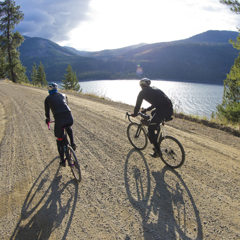 Bikers on a trail