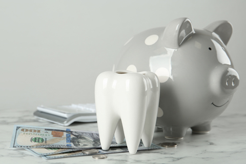 image of model tooth and piggy bank