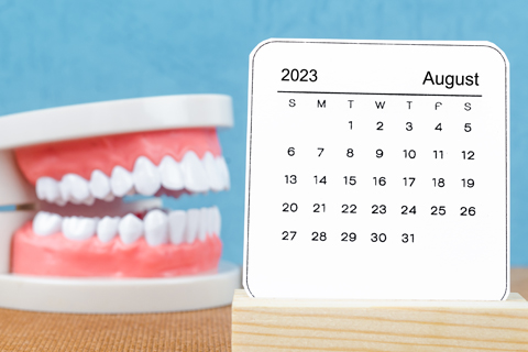 Model teeth next to a calendar