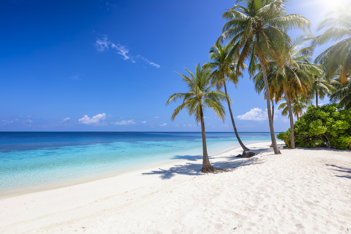 Tropical paradise beach with coconut palm trees