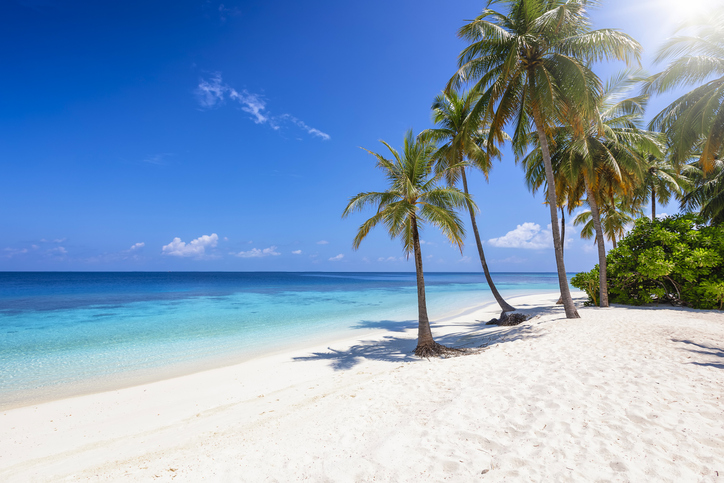 Tropical paradise beach with coconut palm trees Tropical paradise beach with coconut palm trees