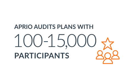 Employee Benefit Plan Audits Results