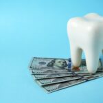 Dollar money bills and tooth model on a blue background with copy space