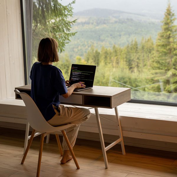 A woman sits with her back to the camera and uses a laptop at a desk in front of a window looking out at a pine forest