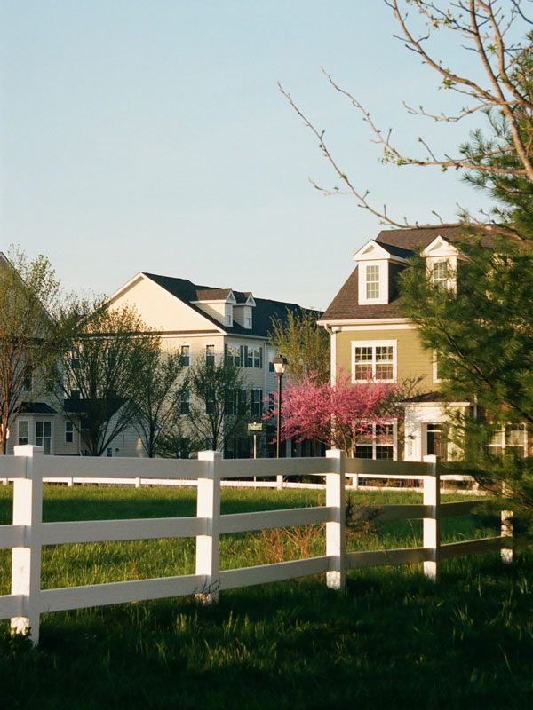 Shot of a fenced-in, grassy field behind a neighborhood