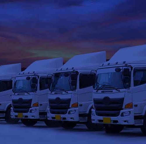 Four white trucks are parked in a row outdoors under a dark, cloudy sky at dusk or dawn.