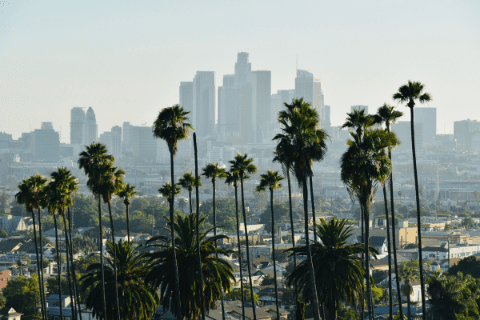 Downtown city skyline with tall modern buildings in the background, palm trees, and residential rooftops in the foreground under a clear sky.