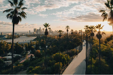 A road lined with tall palm trees leads toward a city skyline at sunset, with scattered clouds in the sky and greenery on both sides of the road.