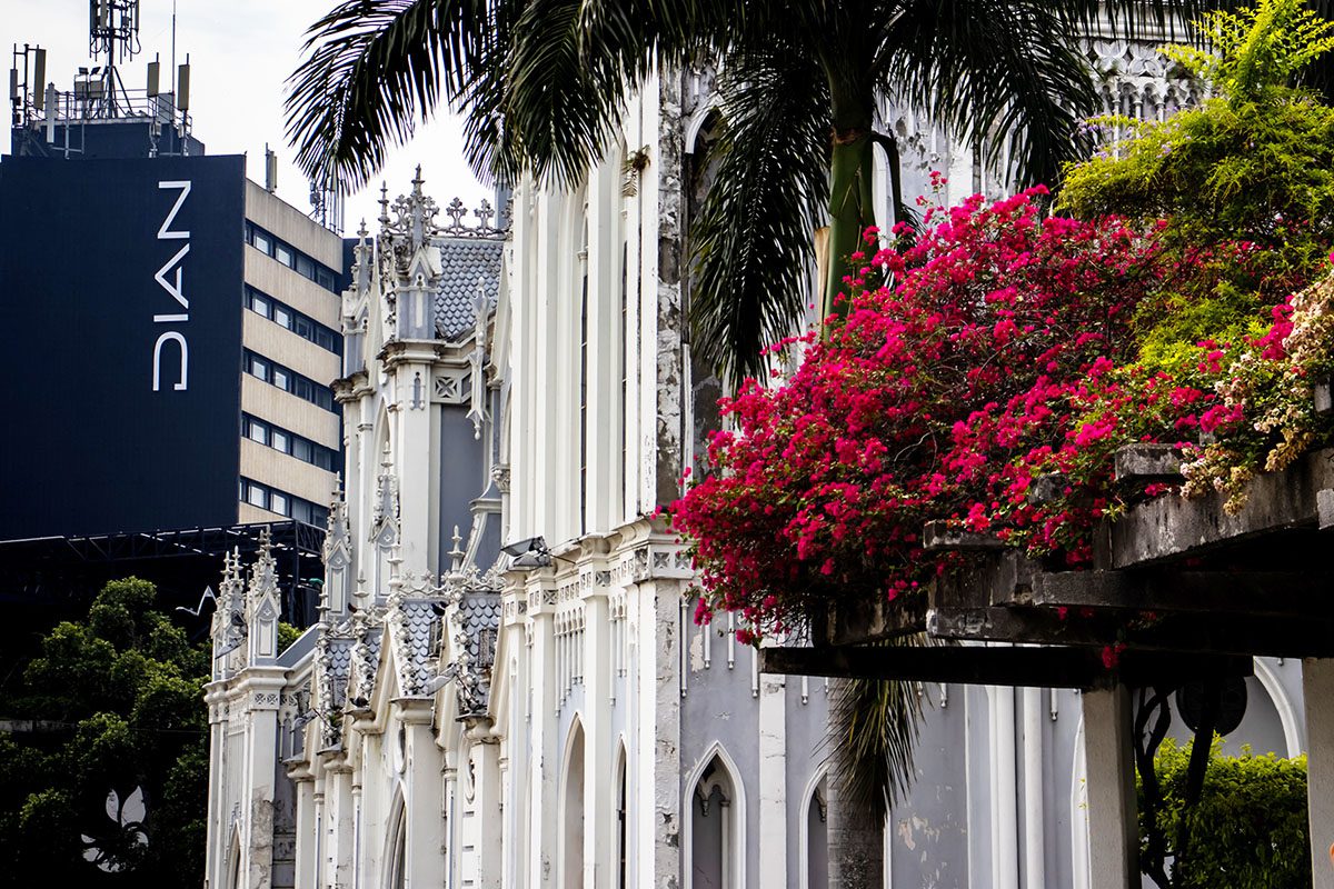 Gothic-style white church with ornate details, palm trees, and bright pink flowers in the foreground; modern building with DIAN sign in background.