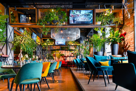 Modern restaurant interior with colorful chairs, wooden tables, hanging plants, chandeliers, and TV screens, creating a vibrant and lush atmosphere.