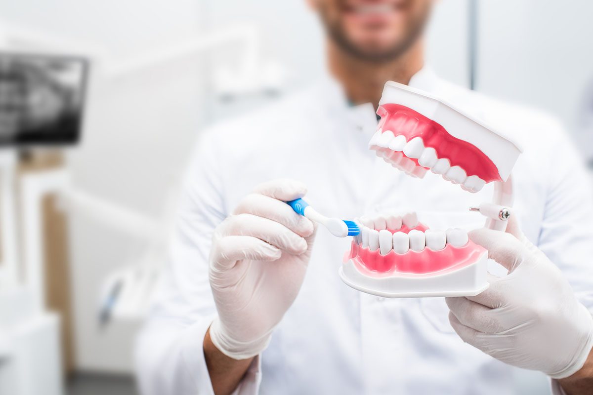 Dentist demonstrating proper tooth brushing technique on a dental model while wearing gloves and a white coat.