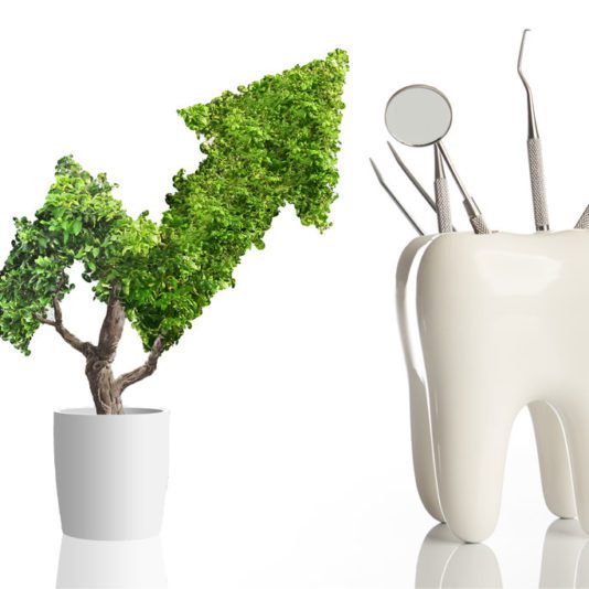 A potted plant shaped like an upward arrow stands next to a large tooth model holding dental tools against a white background.