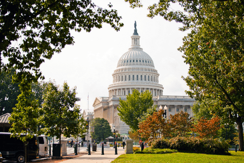 The United States Capitol building in Washington, D.C., with trees and greenery in the foreground on a clear day.
