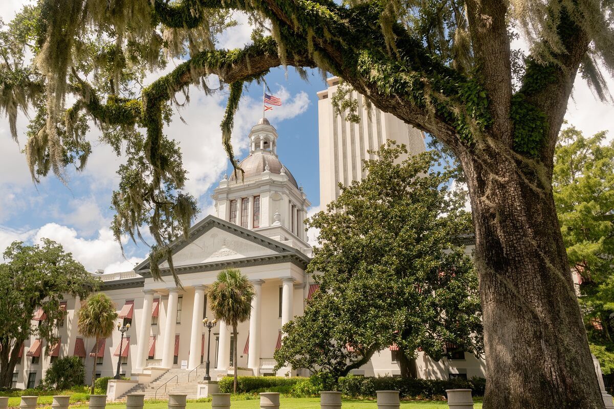 A large oak tree with Spanish moss frames the view of a domed government building with columns, and an American flag flying on top.