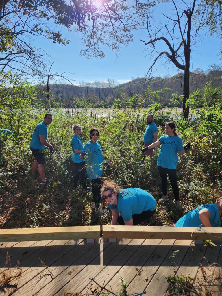 Group of volunteers in blue Aprio tshirts pose while clearing brush from a wooded area