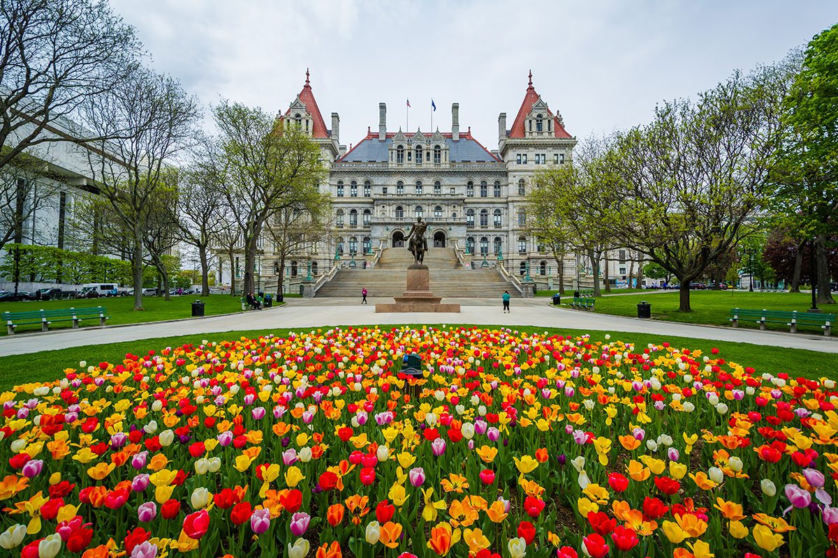 Large historic building with ornate towers seen behind a vibrant bed of multicolored tulips, surrounded by trees and manicured lawns on a cloudy day.