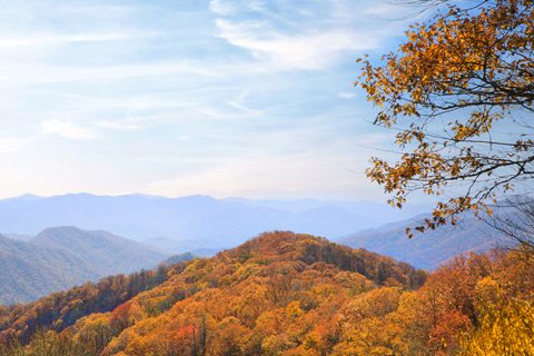 Rolling hills covered in autumn foliage beneath a partly cloudy sky, with tree branches and orange leaves in the foreground.