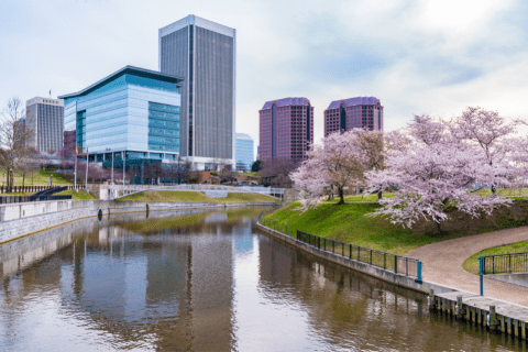 A cityscape with modern office buildings, a canal, and blooming cherry blossom trees along a curved walking path under a partly cloudy sky.