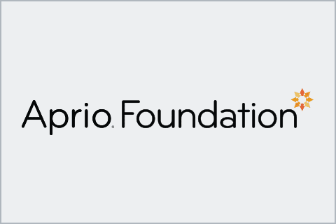 Aprio Foundation logo with a stylized orange starburst design at the end of the word Foundation on a light gray background.