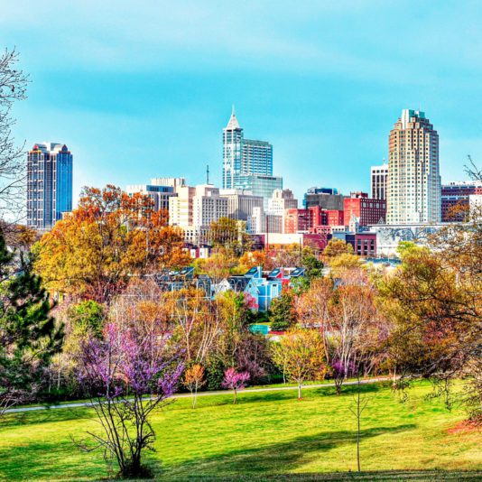 Downtown city skyline with tall buildings, colorful trees, and a grassy park in the foreground on a clear day.