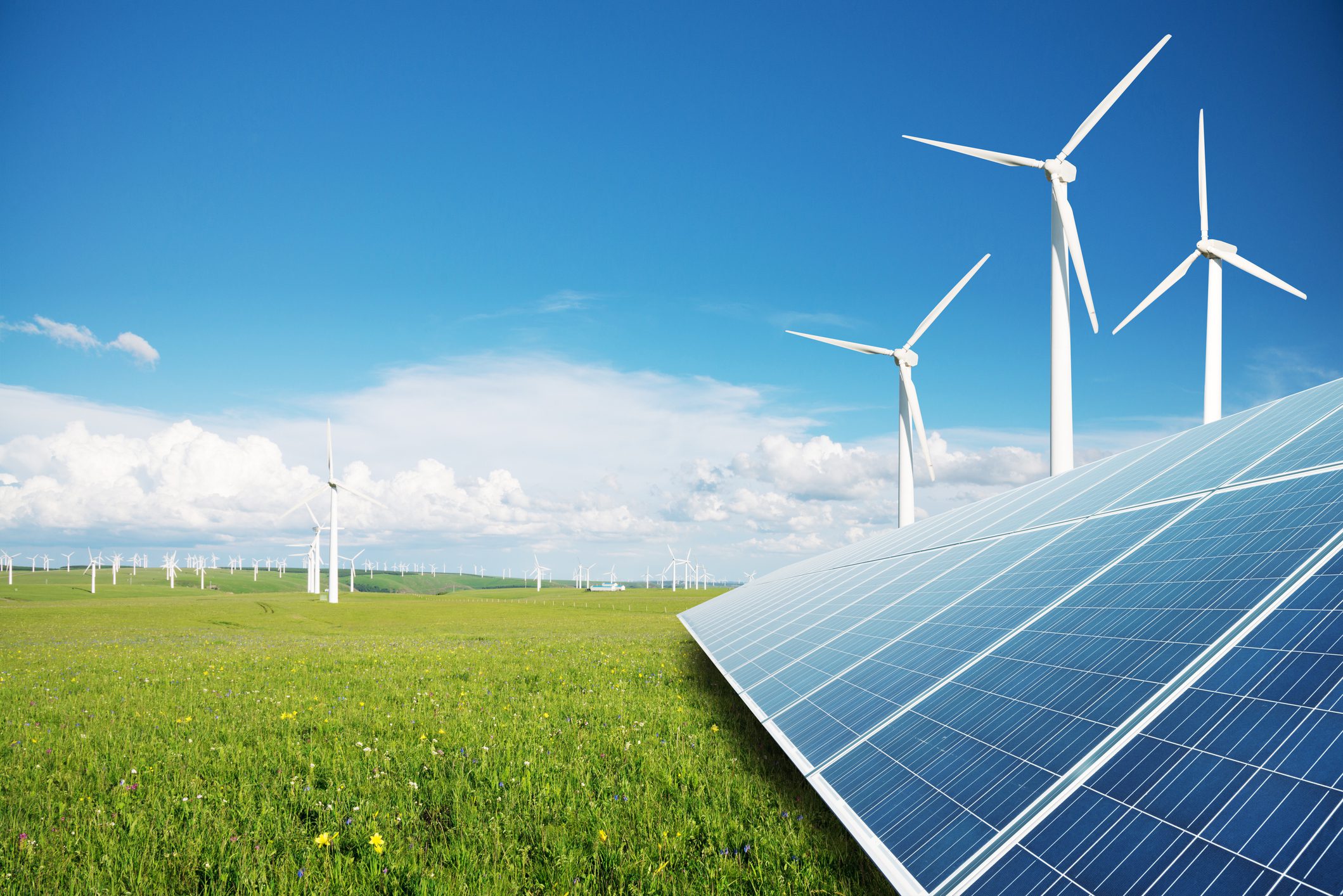 Field with wind turbines and solar panels under a blue sky, representing renewable energy sources.