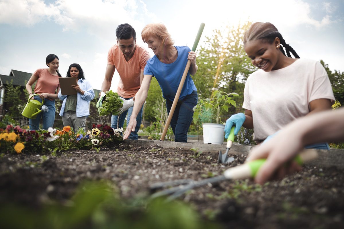 Multiracial group of young men and young women gather as volunteers to plant flowers in community garden with mature woman project manager giving advice and teamwork