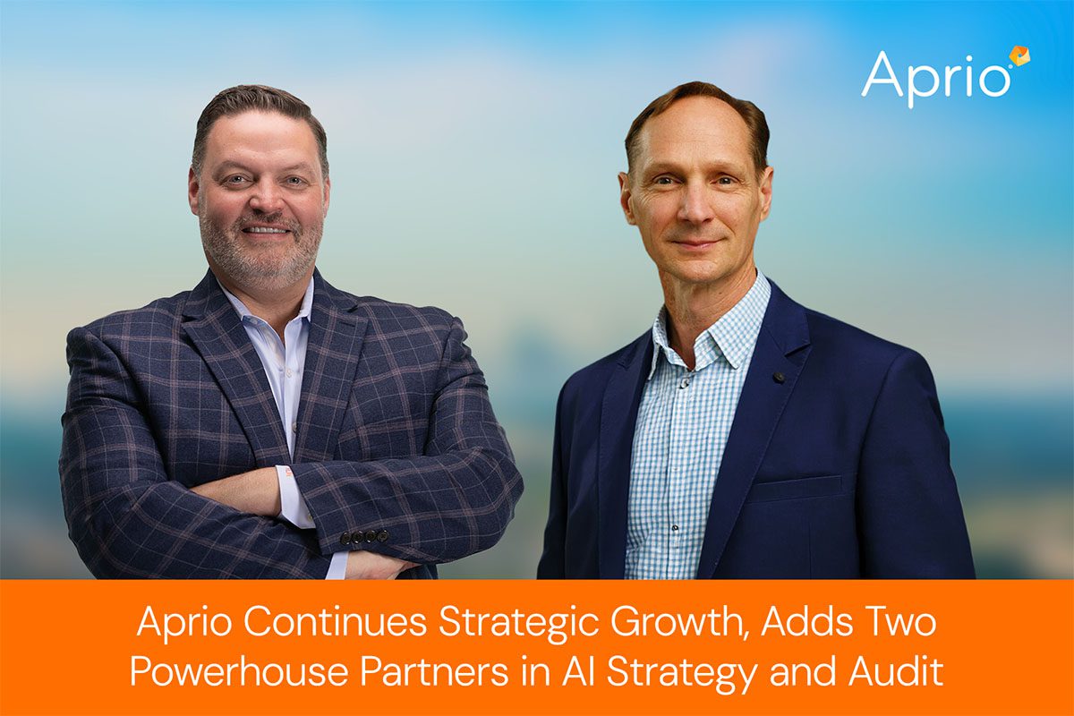 Rob Wellen and Robert Fraher-AI Strategy-Audit