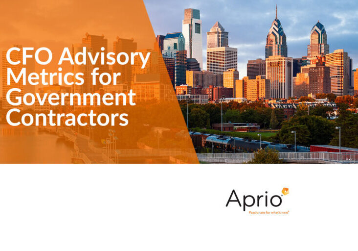 CFO Advisory Metrics