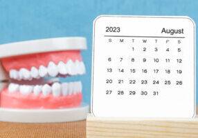 Model teeth next to a calendar