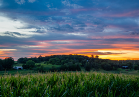 photo of a landscape in Iowa