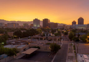 New Mexico SALT Newsletter