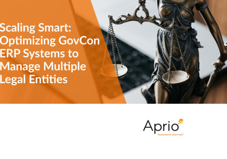 Scaling Smart - Optimizing GovCon ERP Systems to Manage Multiple Legal Entities
