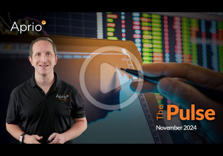 The Pulse - November 2024 cover image