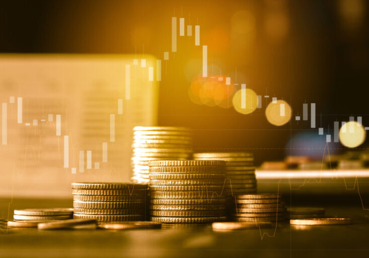 Financial, stock charts graphic banner image